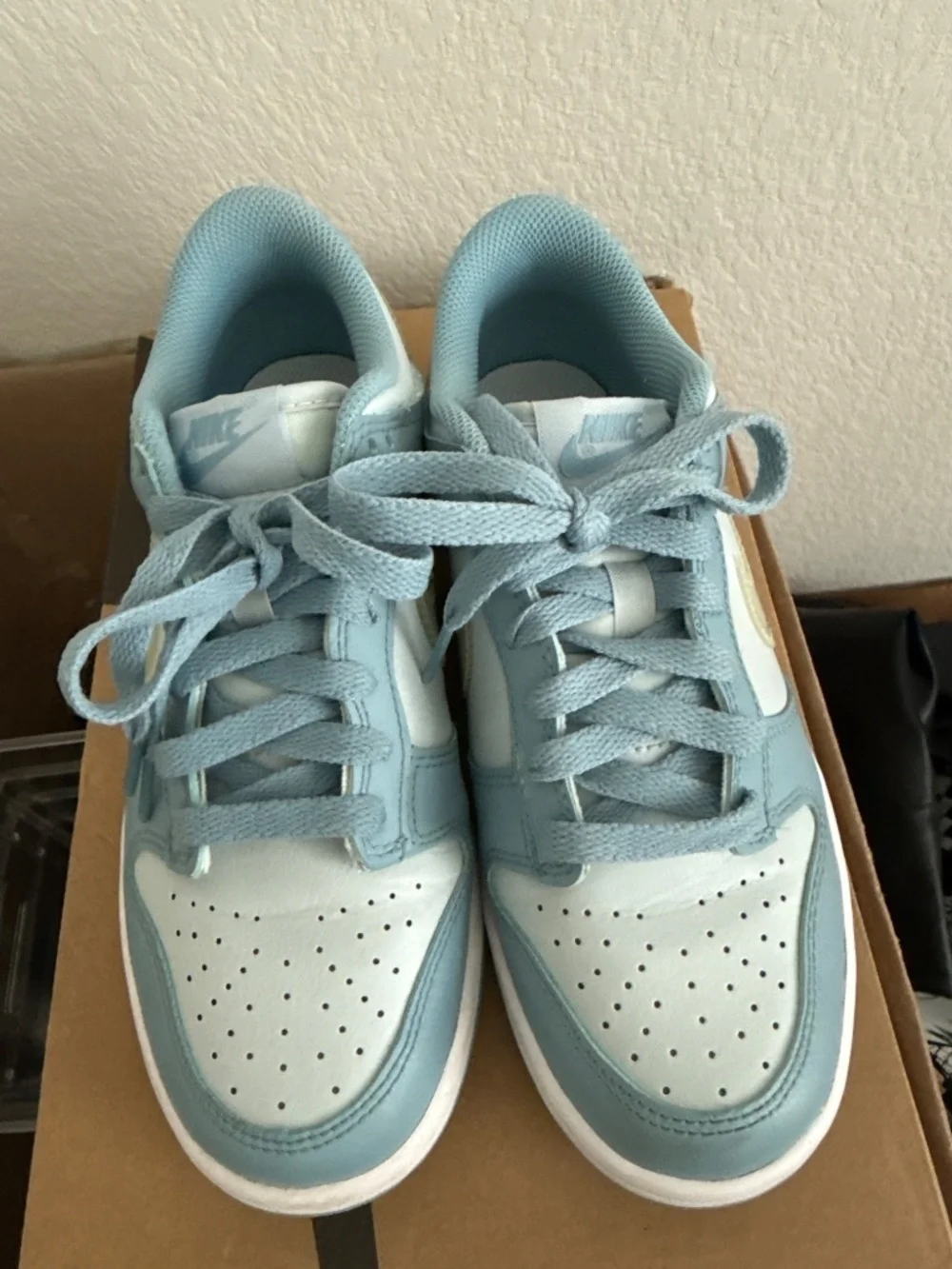 Nike low dunks blue